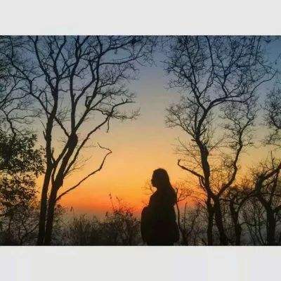 竞彩足球模拟投注下载