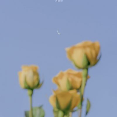 beat365平台下载手机版