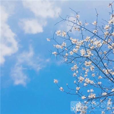 永乐国际app下载