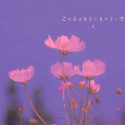 百家乐凯发k8官方网入口