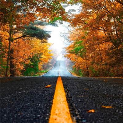 火狐官网下载手机版