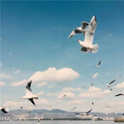 金年会手机app官方下载