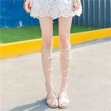 乐鱼体育平台下载地址